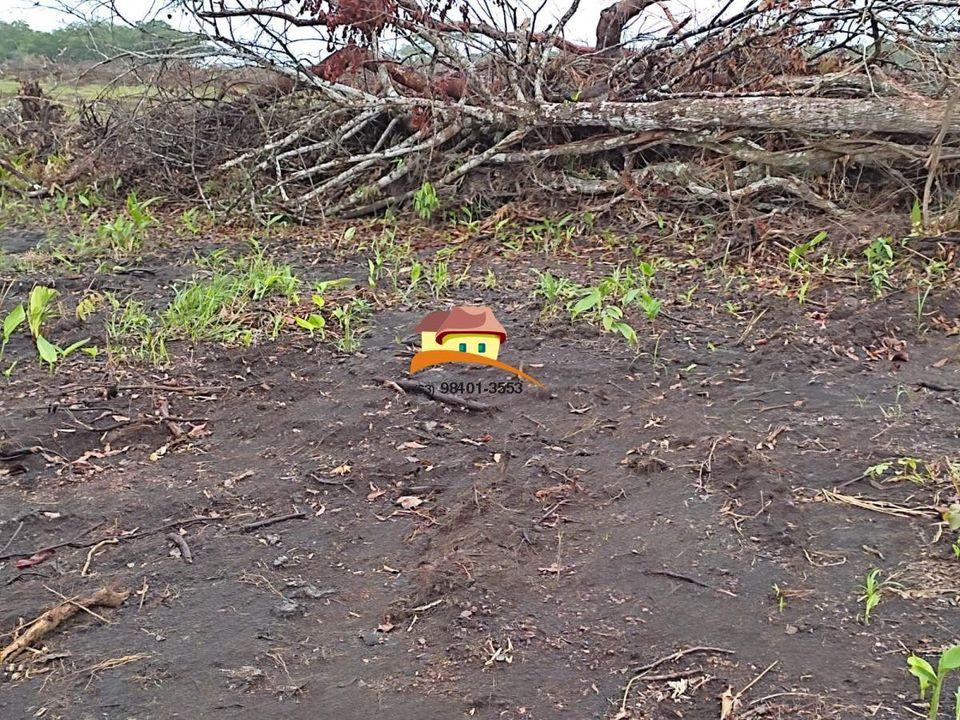 Fazenda, 1 m² - Foto 18