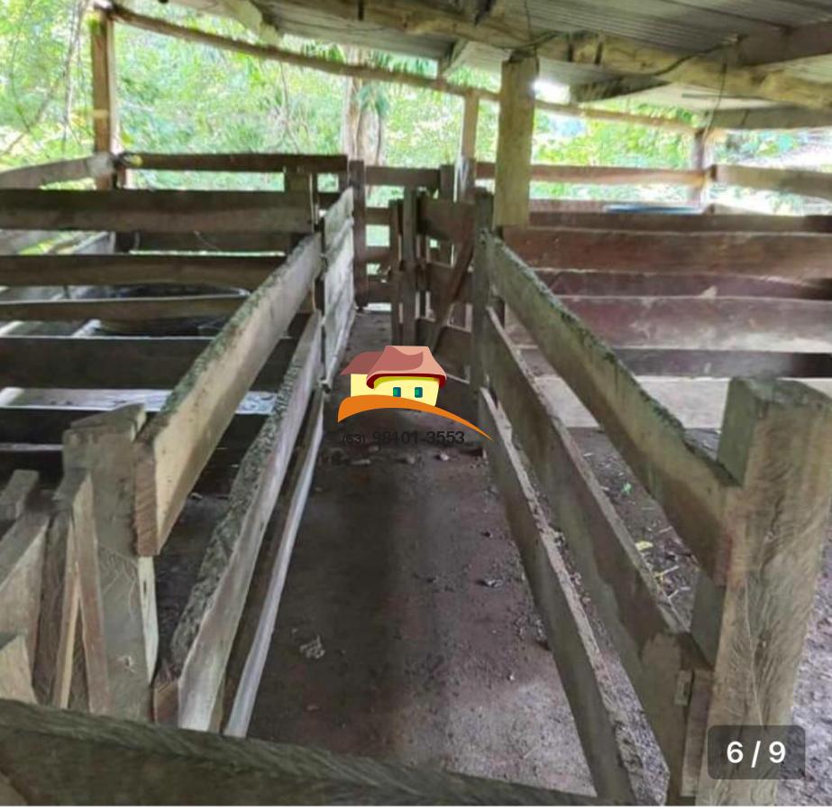 Fazenda, 169 hectares - Foto 7