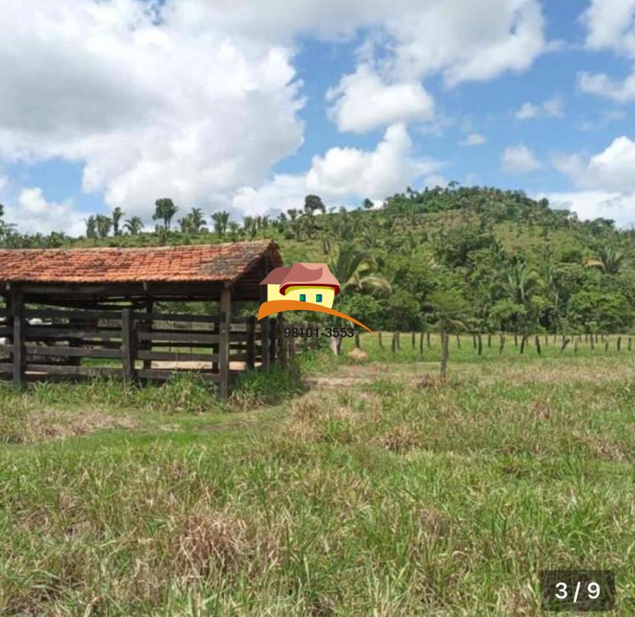 Fazenda, 169 hectares - Foto 4
