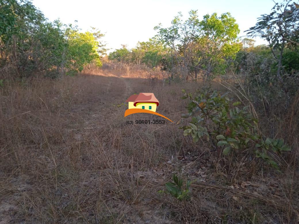 Fazenda, 1 m² - Foto 17