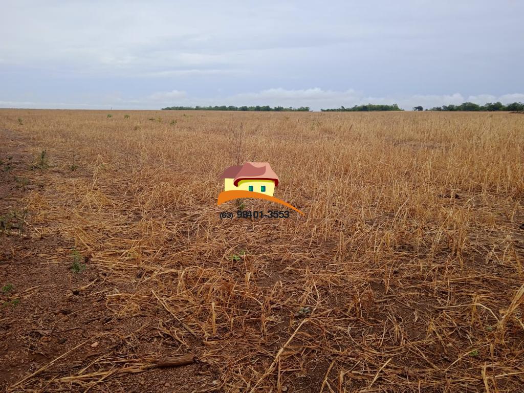 Fazenda, 1137 m² - Foto 11