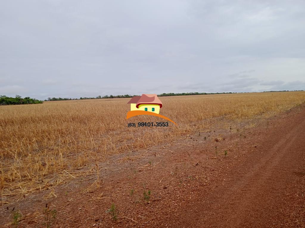 Fazenda, 1137 m² - Foto 21