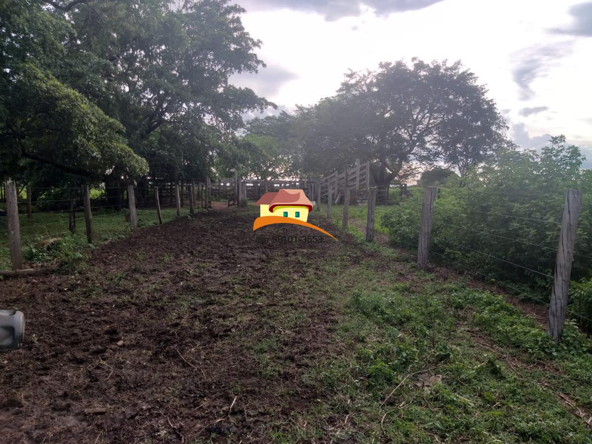 Fazenda, 164 hectares - Foto 32