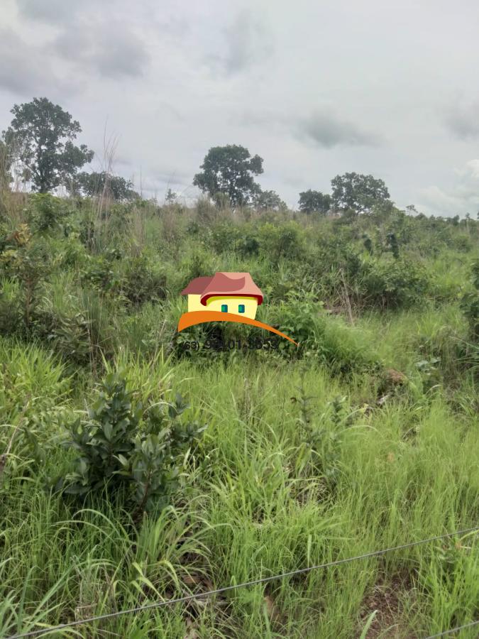 Fazenda, 164 hectares - Foto 18