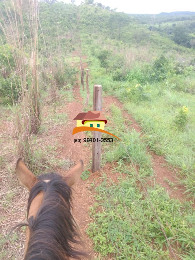 Fazenda, 164 hectares - Foto 34