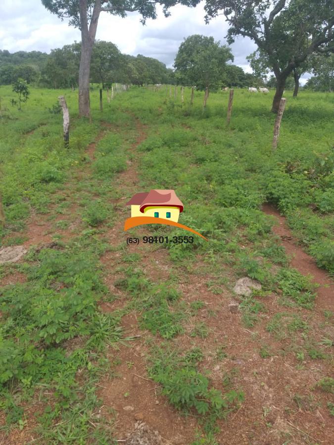 Fazenda, 164 hectares - Foto 35