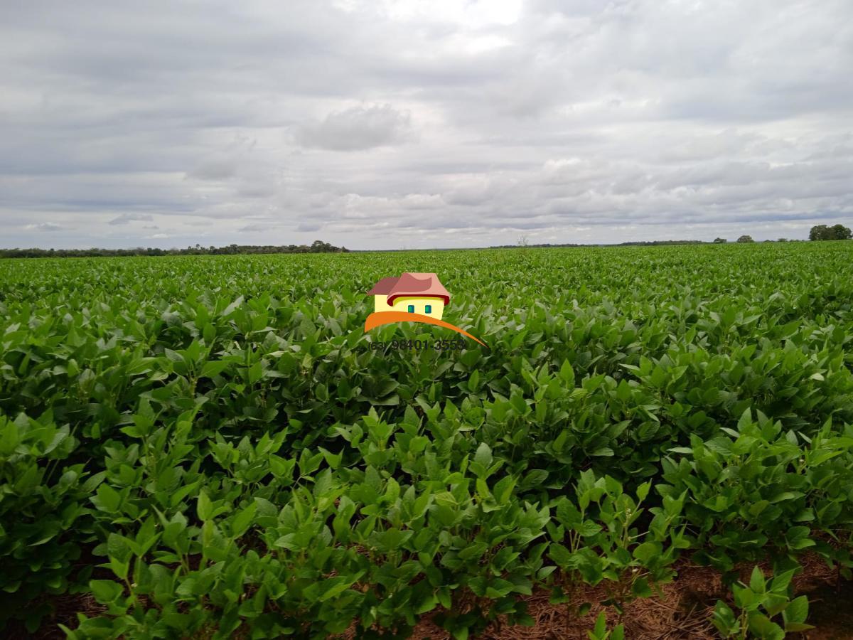 Fazenda, 1137 m² - Foto 1