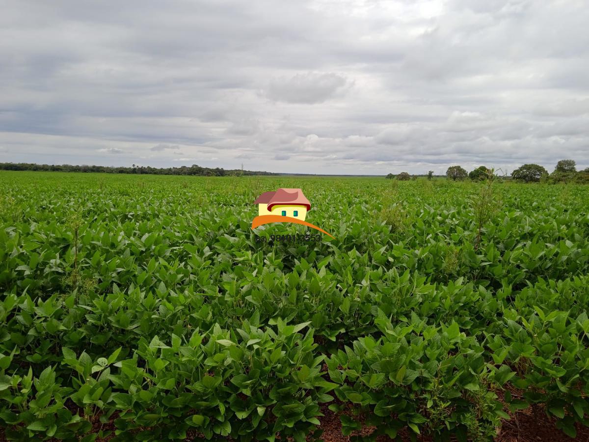 Fazenda, 1137 m² - Foto 24