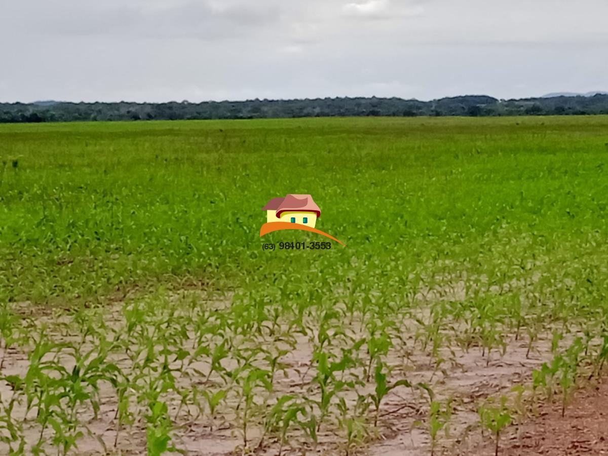 Fazenda, 1137 m² - Foto 28