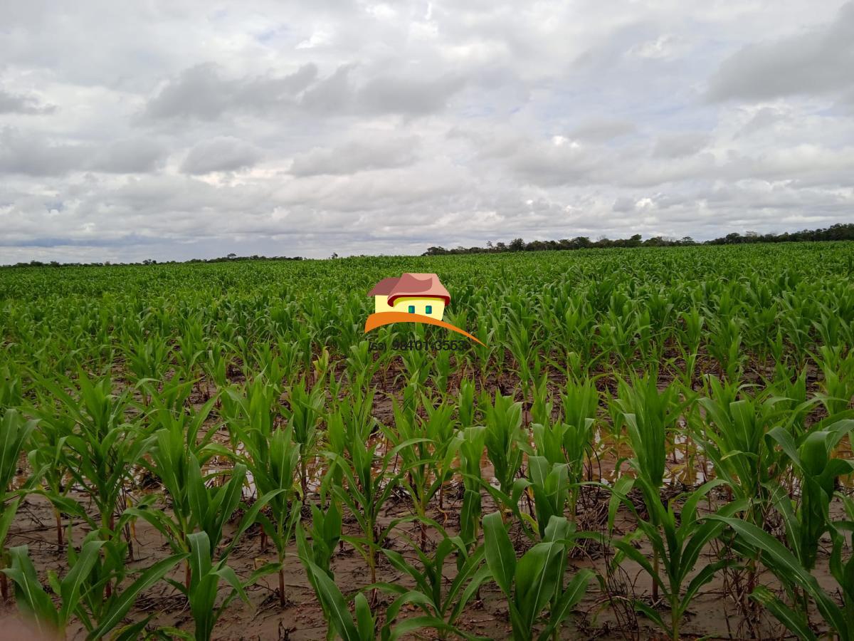 Fazenda, 1137 m² - Foto 30