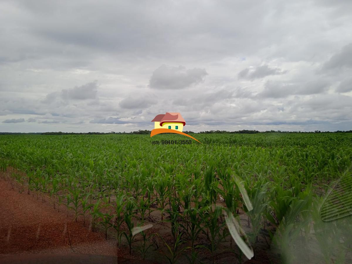 Fazenda, 1137 m² - Foto 31