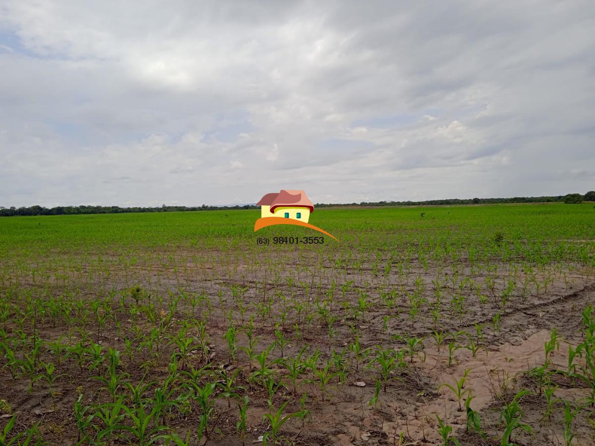Fazenda, 1137 m² - Foto 33