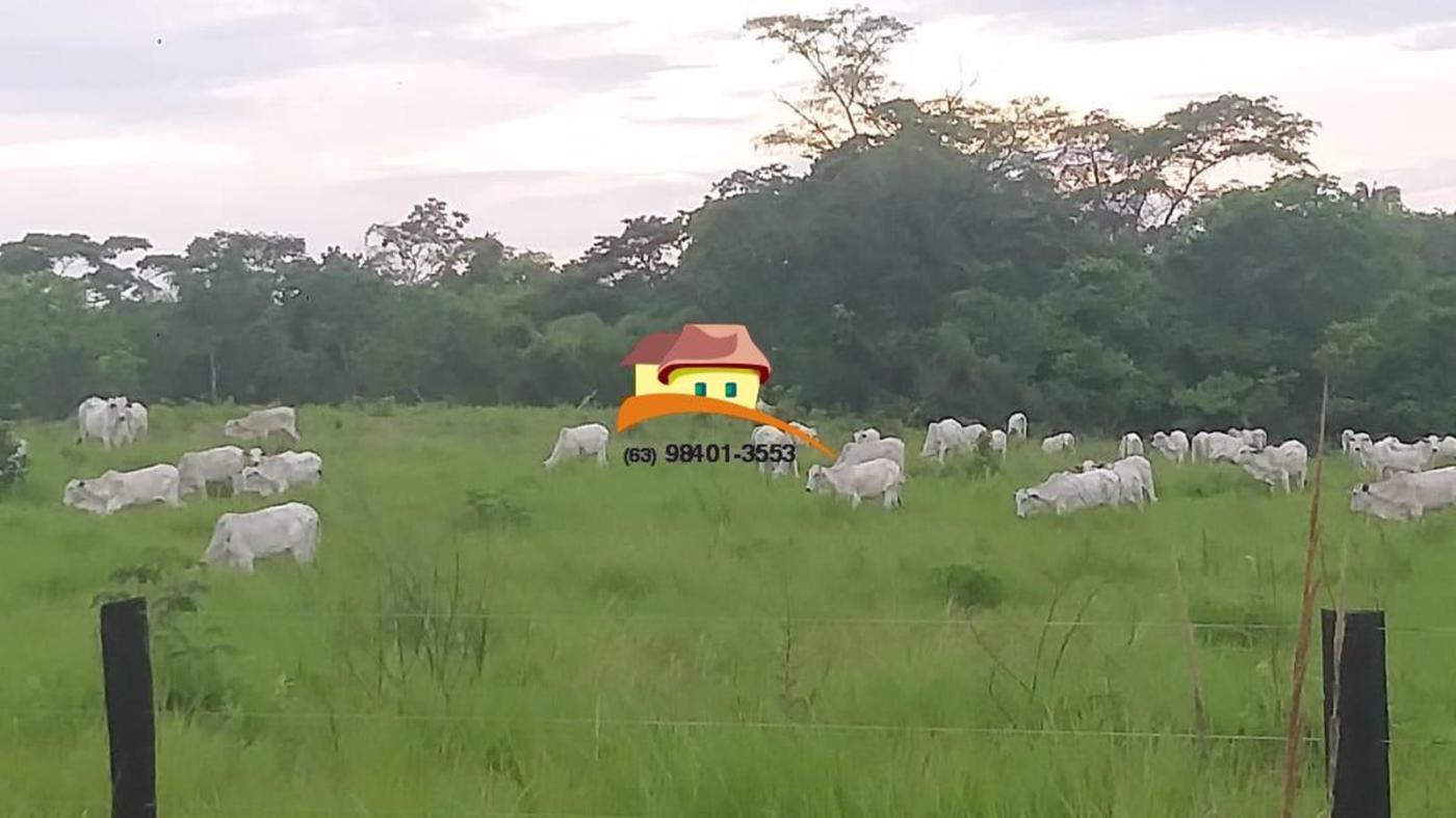 Fazenda, 1 m² - Foto 6