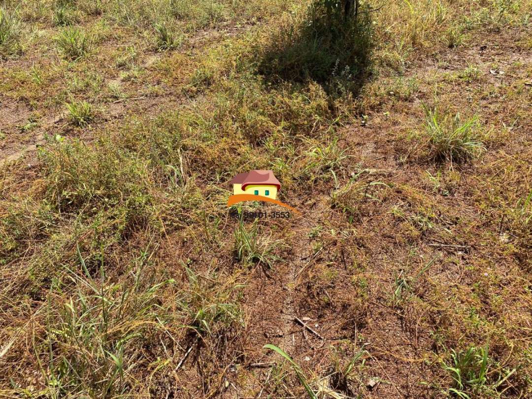 Fazenda, 1 m² - Foto 2