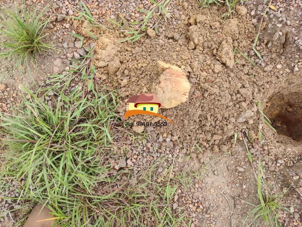 Fazenda, 1 m² - Foto 5