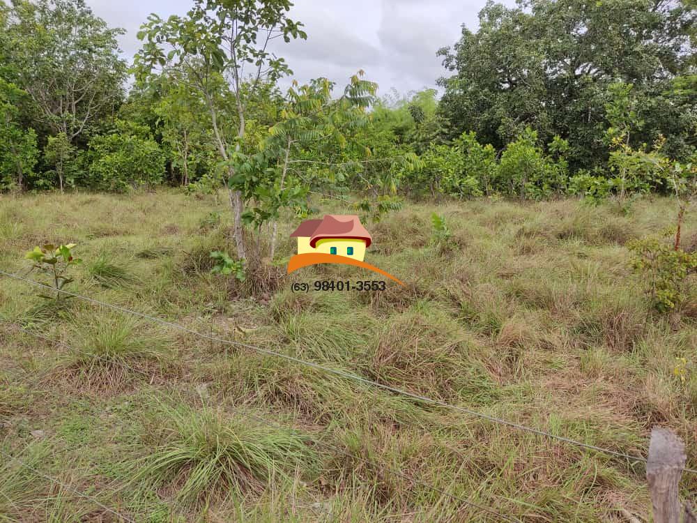 Fazenda, 1 m² - Foto 9