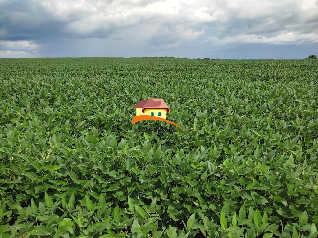 Fazenda, 2516 m² - Foto 2