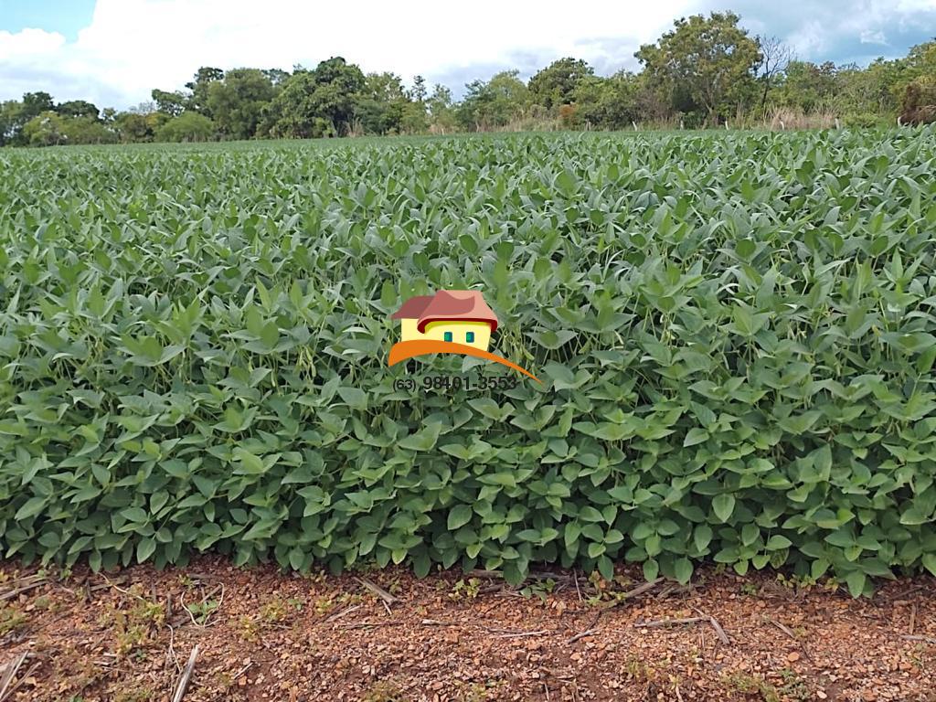 Fazenda, 2516 m² - Foto 4