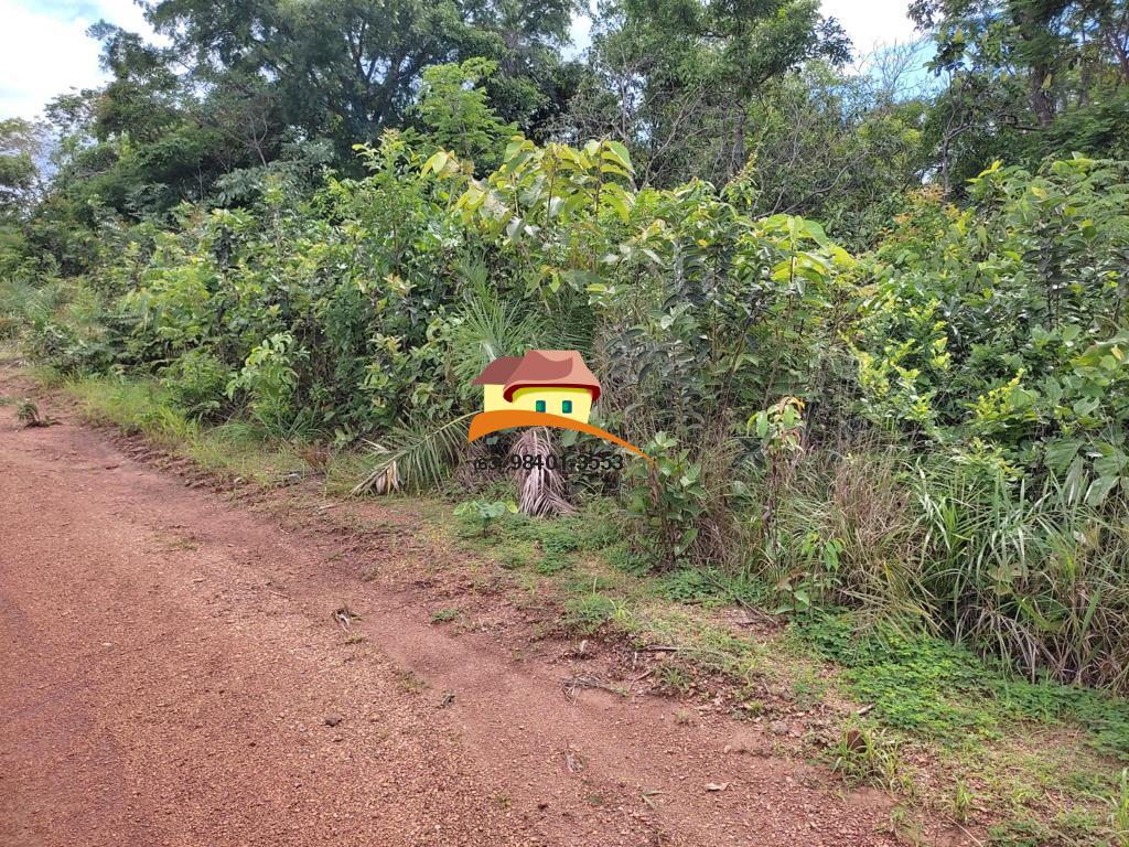 Fazenda, 2516 m² - Foto 3