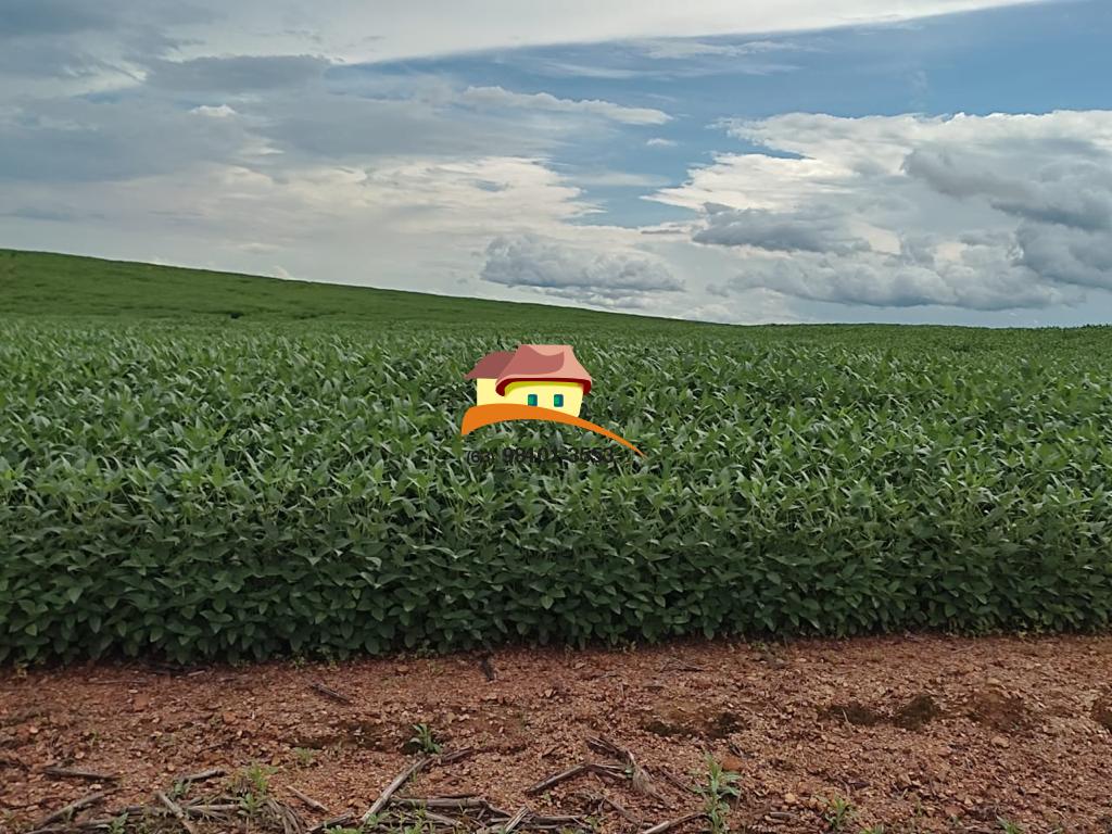 Fazenda, 2516 m² - Foto 5