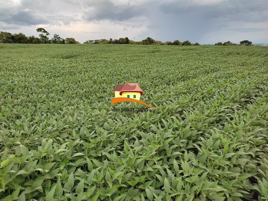 Fazenda, 2516 m² - Foto 7