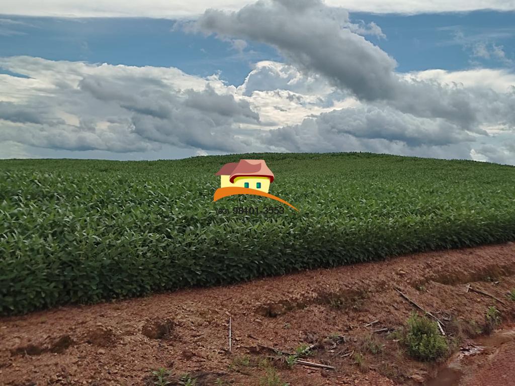 Fazenda, 2516 m² - Foto 6