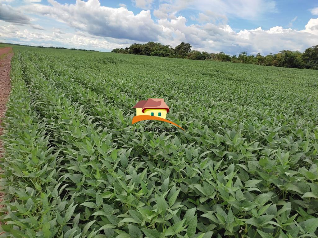 Fazenda, 2516 m² - Foto 8