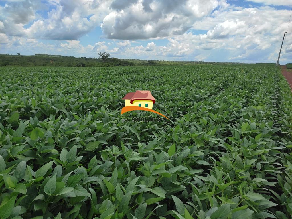 Fazenda, 2516 m² - Foto 9