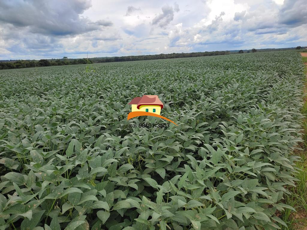 Fazenda, 2516 m² - Foto 13