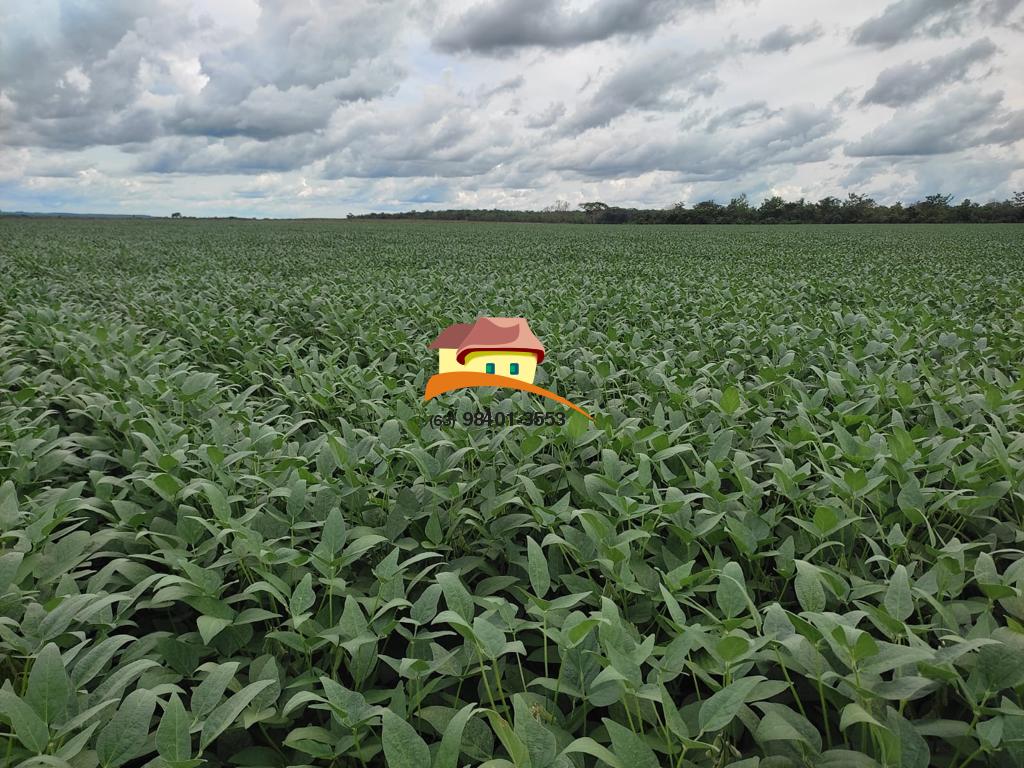 Fazenda, 2516 m² - Foto 12