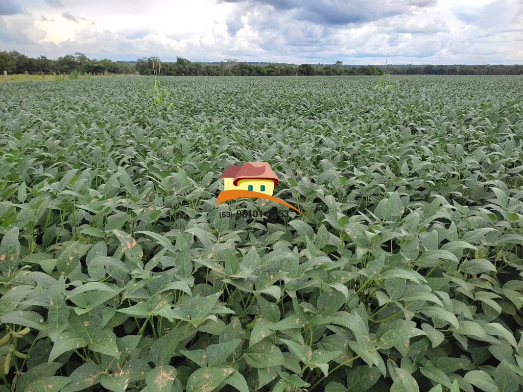 Fazenda, 2516 m² - Foto 14