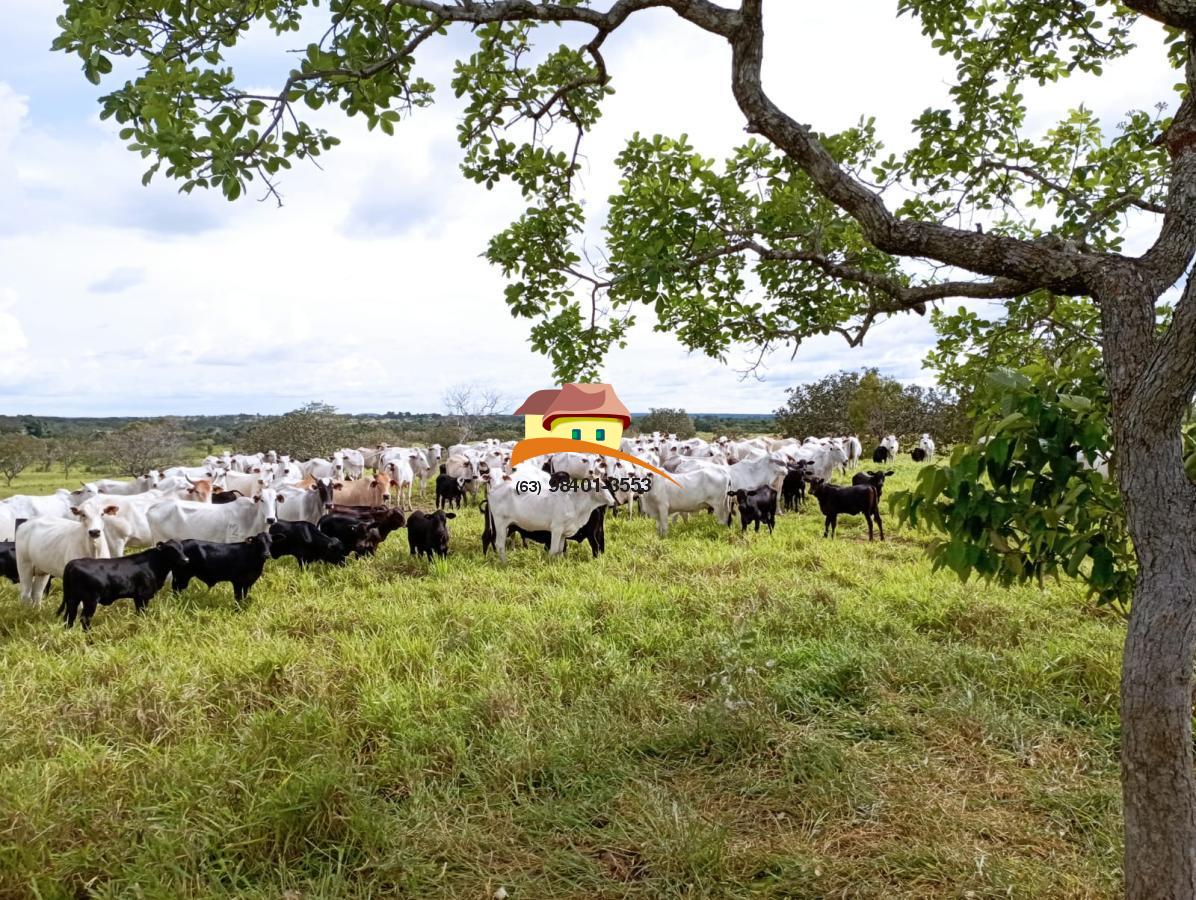 Fazenda, 1623 m² - Foto 3