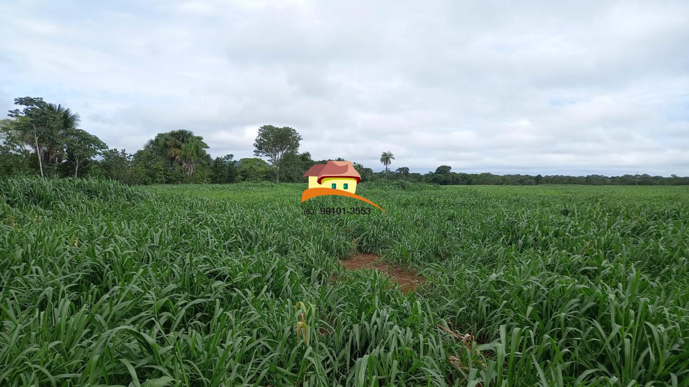 Fazenda, 416 m² - Foto 3