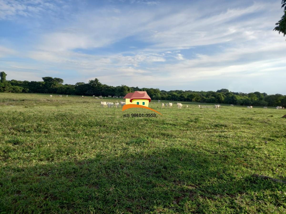 Fazenda, 416 m² - Foto 10