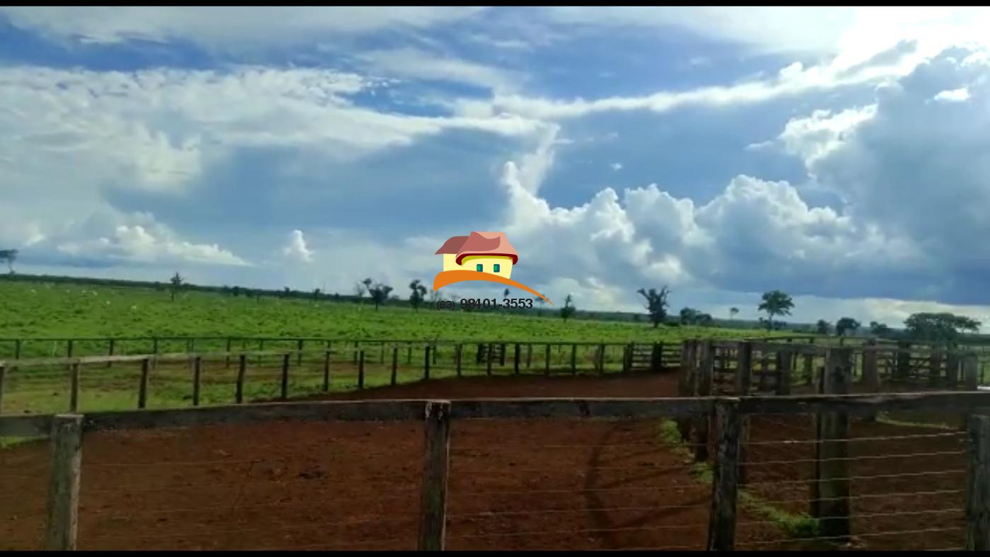 Fazenda, 4985 m² - Foto 9