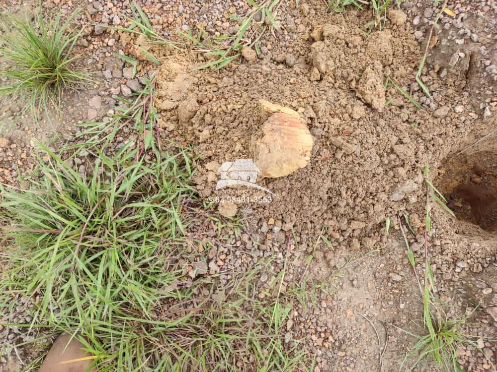 Fazenda, 1 m² - Foto 4