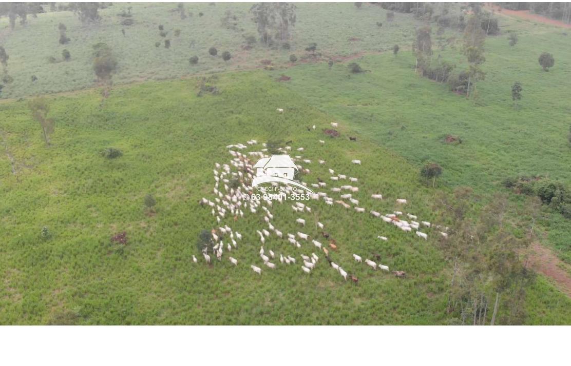 Fazenda, 1 m² - Foto 8