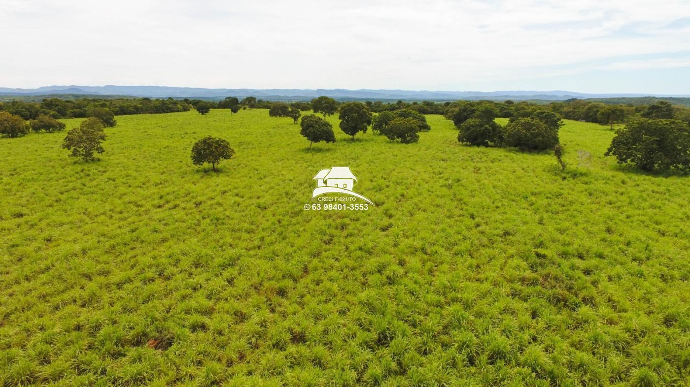 Fazenda, 1 m² - Foto 27