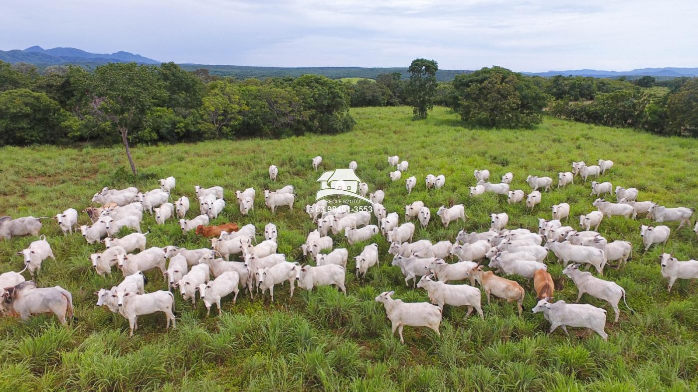 Fazenda, 1 m² - Foto 28