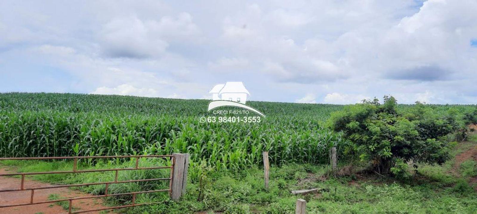 Fazenda, 1 m² - Foto 6