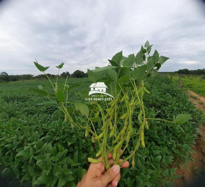 Fazenda, 1 m² - Foto 7