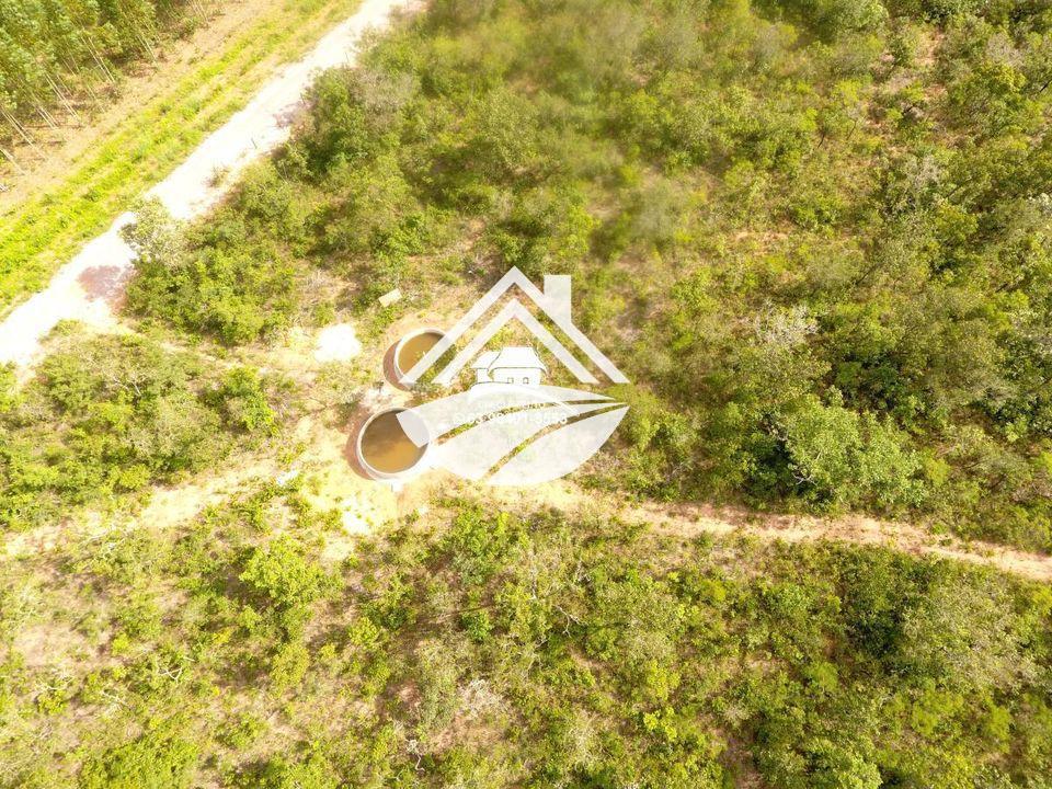 Fazenda, 193 hectares - Foto 6