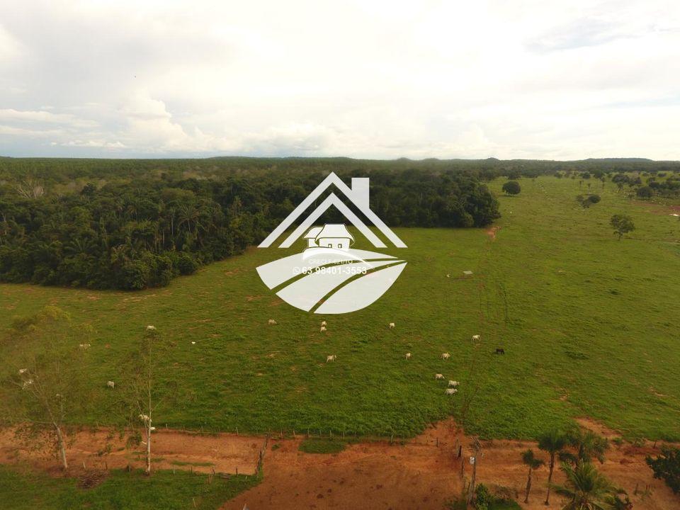 Fazenda, 193 hectares - Foto 13