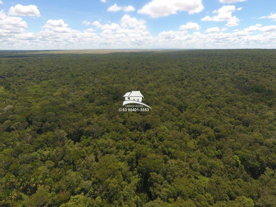 Fazenda, 566 hectares - Foto 8