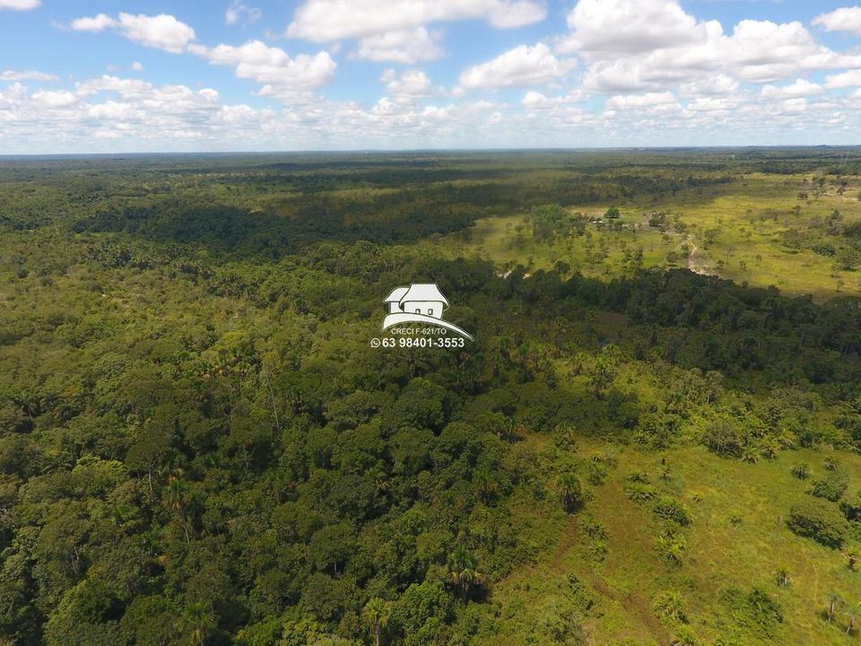 Fazenda, 566 hectares - Foto 11