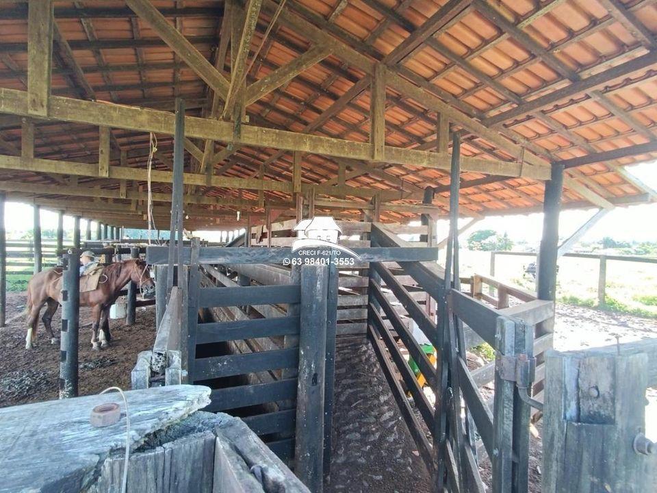 Fazenda, 143 hectares - Foto 9