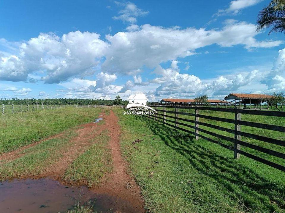 Fazenda, 143 hectares - Foto 5