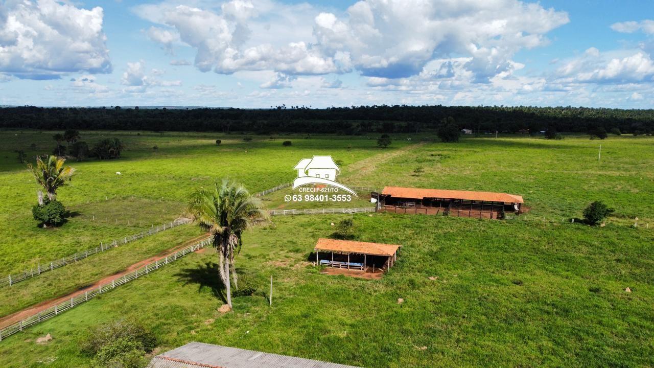 Fazenda, 143 hectares - Foto 11
