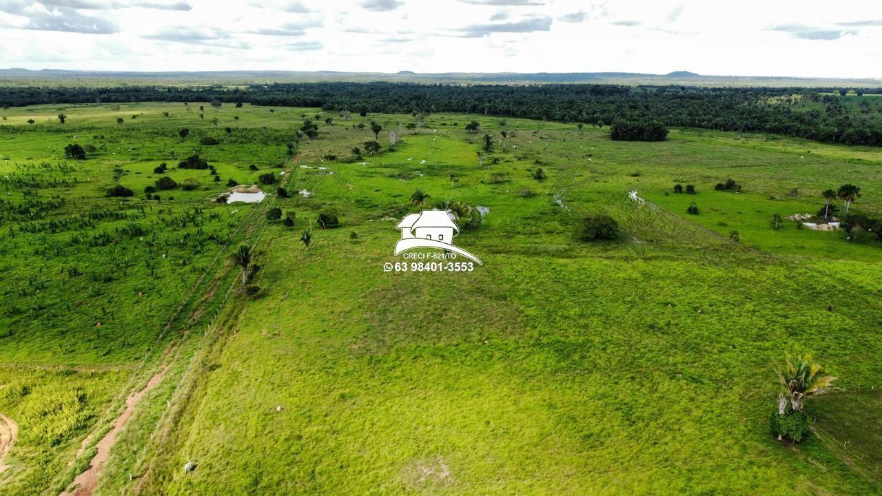 Fazenda, 143 hectares - Foto 13