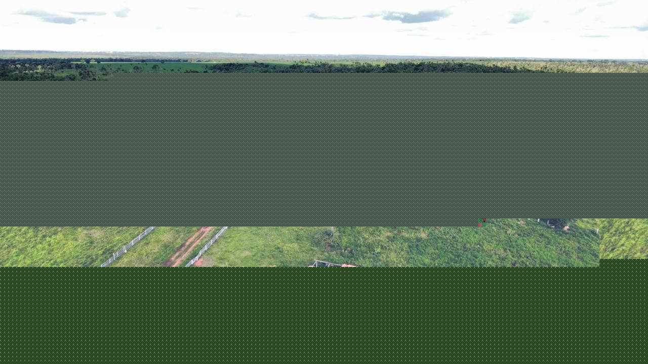 Fazenda, 143 hectares - Foto 14